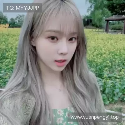 朱晶丹